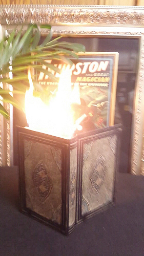 Victorian Fire Book