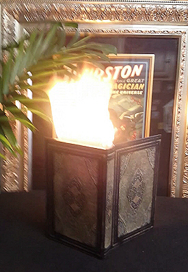 Victorian Fire Book
